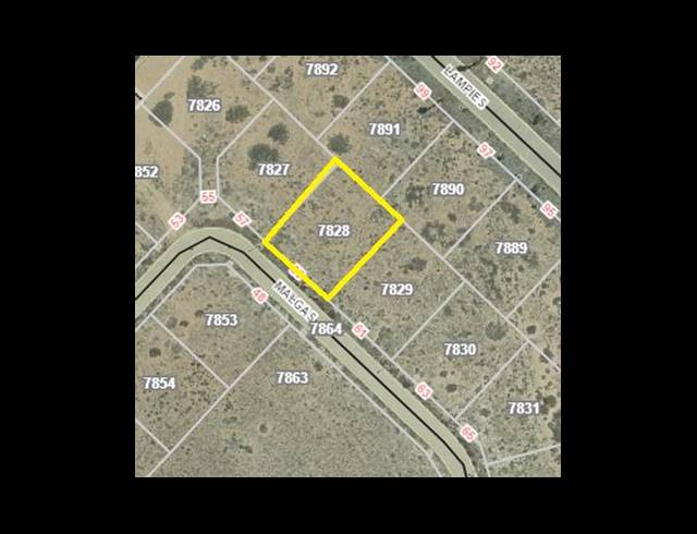 LAND FOR SALE IN LAMPIESBAAI